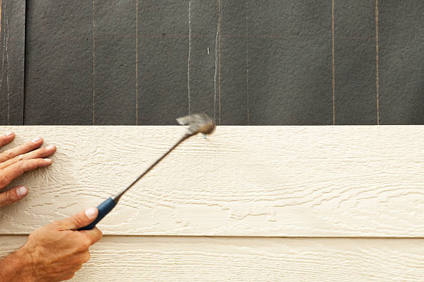 Best Siding Removal and Disposal  in Belle Plaine, MN